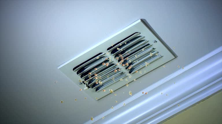 Best Professional Duct Cleaning Services  in Nevada, IA